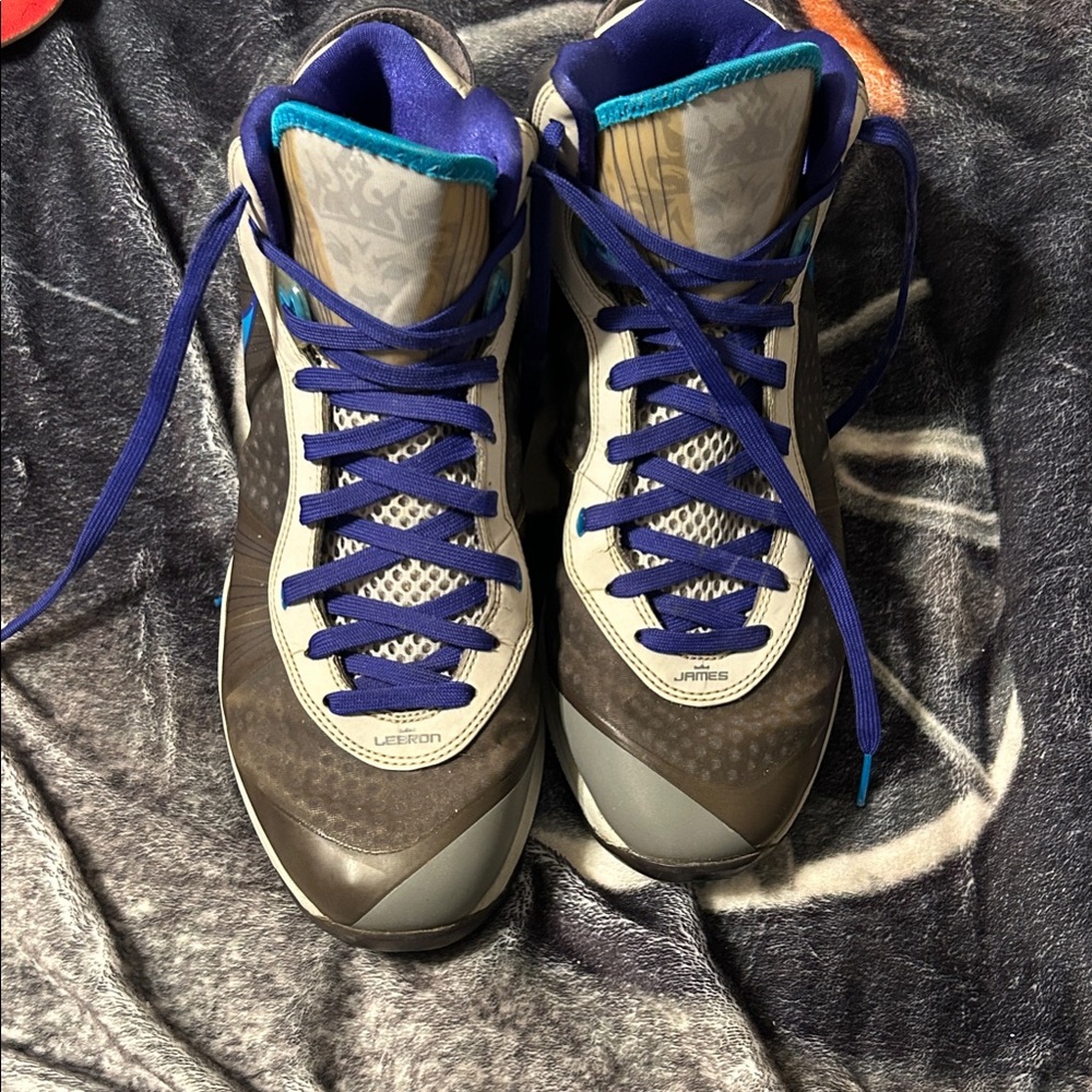 Nike LeBron 8 V2 Hornets